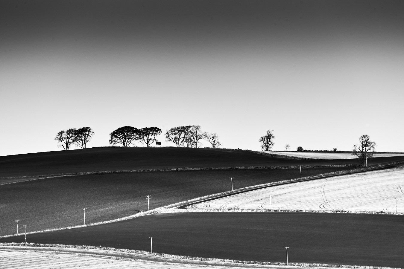 Untitled 06 (2016) B&W abstract print by Timothy Gent