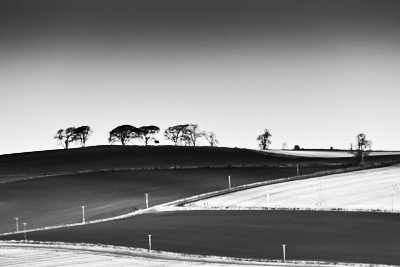 Untitled 06 (2016) Abstract black and white photography print by Timothy Gent - small image