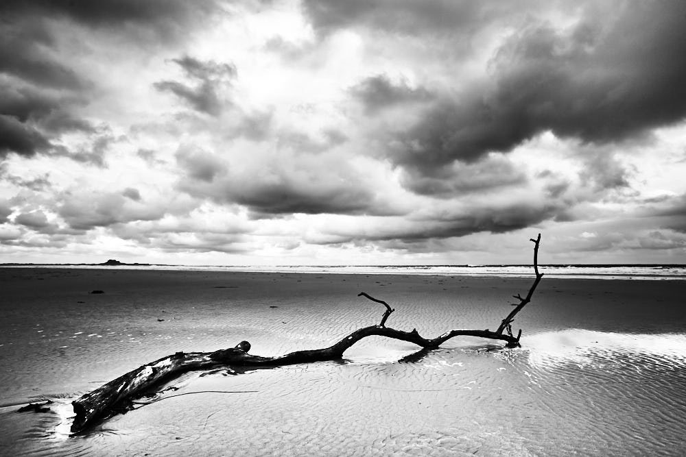 Timothy Gent Photography prints for sale